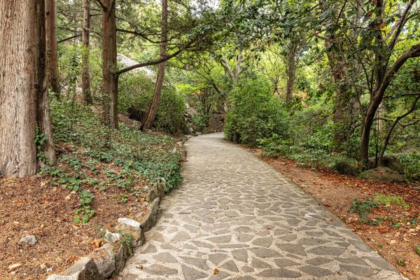 Stone Walkway Repair in Marysville