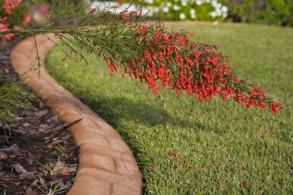 Brick Edging Service